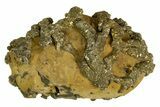 Golden Pyrite on Limonite Clay - Pakistan #337944-1